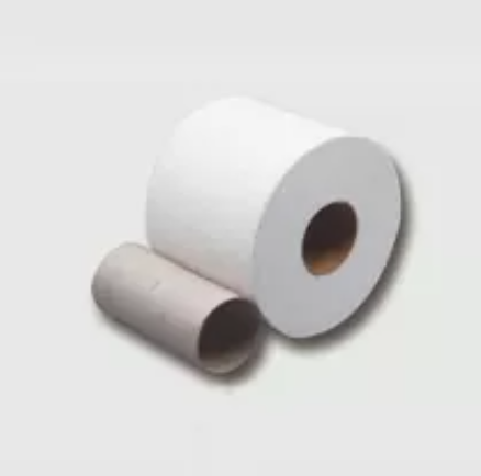 core core အိမ်သာလိပ်များအဘယ်အရာ?