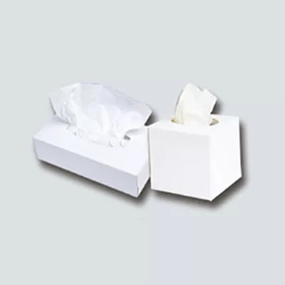 Box Facial တစ်သျှူးသည်နေ့စဉ်အသုံးပြုမှုအတွက် Smart ရွေးချယ်မှုကိုအဘယ်အရာကပြုလုပ်သနည်း။
